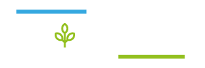 Bonae